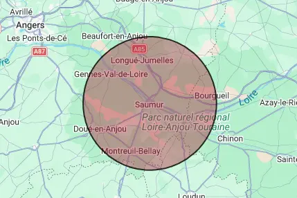 carte de la zone d'intervention de Natacha Boxe thérapie à Saumur